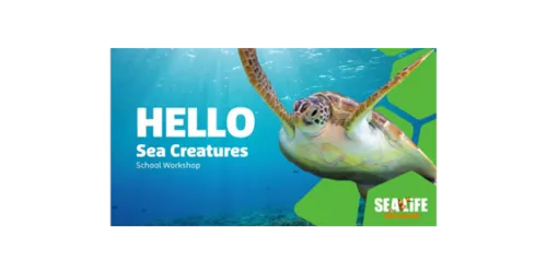 Sea Creatures