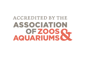 Aza Accredited