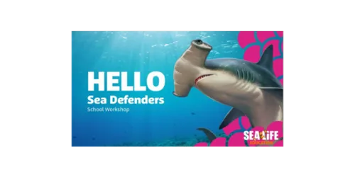 Sea Creatures