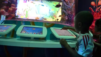 Doodle Reef | SEA LIFE Aquarium
