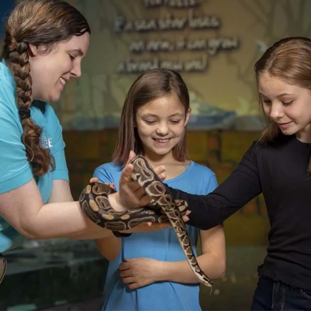 Wild Encounters | SEA LIFE Kansas City Aquarium