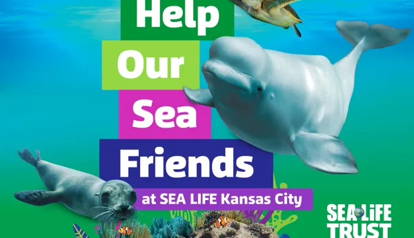 Help Our Sea Friends SLKC